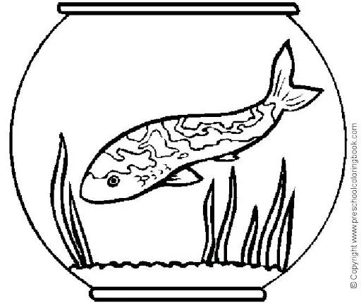 LAMINAS DE PECES PARA PINTAR