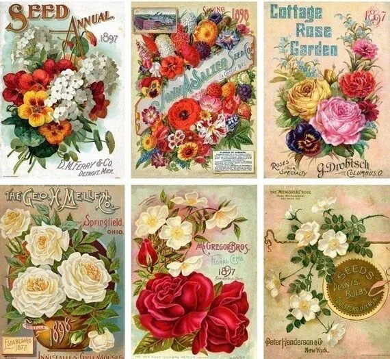 LAMINAS... Y TRABAJOS CON FLORES (pág. 177) | Aprender ... LAMINAS... Y TRABAJOS CON FLORES (pág. 177) | Aprender ...
