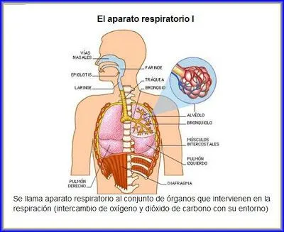 lapicero de tercero y de cuarto: octubre 2012 lapicero de tercero y de cuarto: octubre 2012