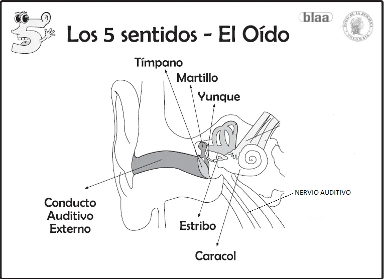 LAPICERO DE TERCERO : noviembre 2013