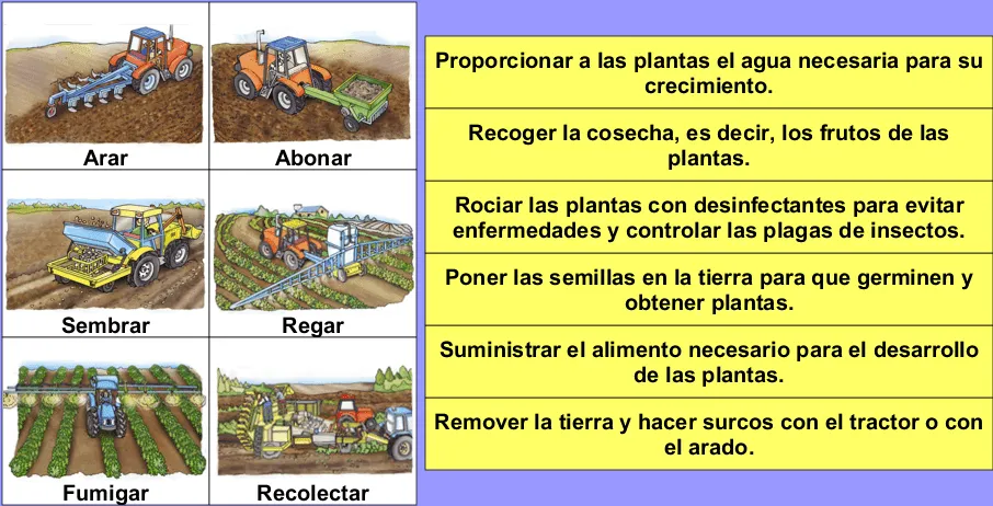 LAPICERO DE TERCERO : LOS SECTORES DE TRABAJO