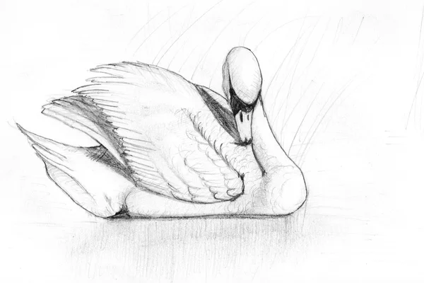 lápiz de cisne — Foto stock © Willypd #10352816 lápiz de cisne — Foto stock © Willypd #10352816