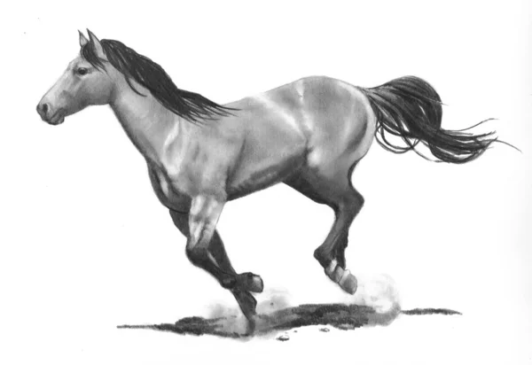 Lápiz de dibujo de funcionamiento del caballo — Foto stock ... Lápiz de dibujo de funcionamiento del caballo — Foto stock ...