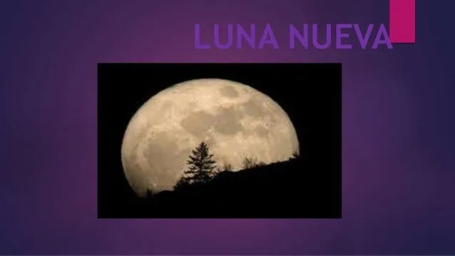 las-4-fases-de-la-luna-2-638. ...