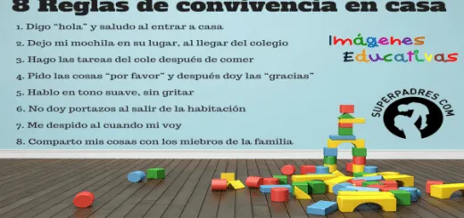 Las-8-reglas-de-convivencia-en ...