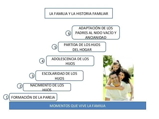 ETAPAS DE LA FAMILIA - Imagui