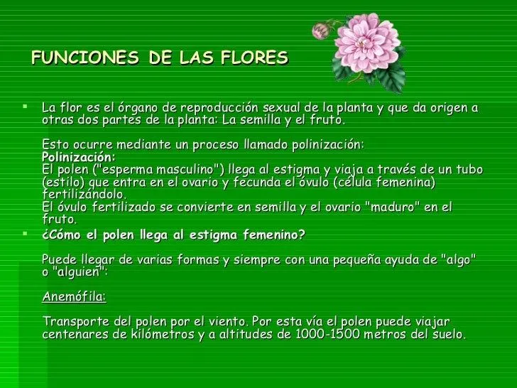 las-flores-sus-partes-y- ...