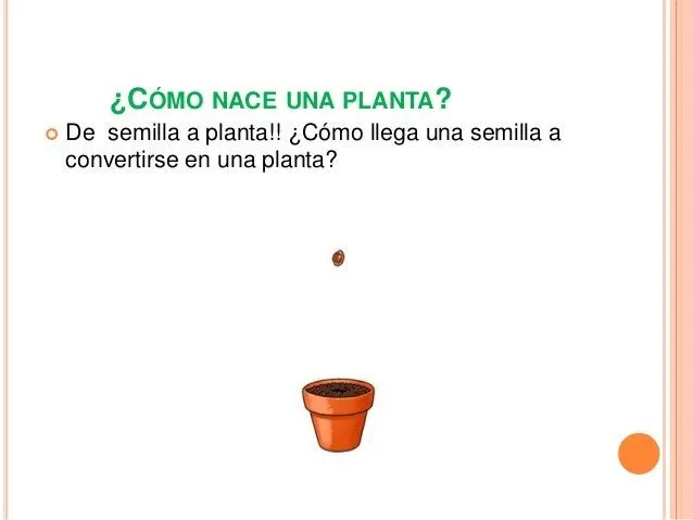 las-plantas-2-638.jpg?cb= ...