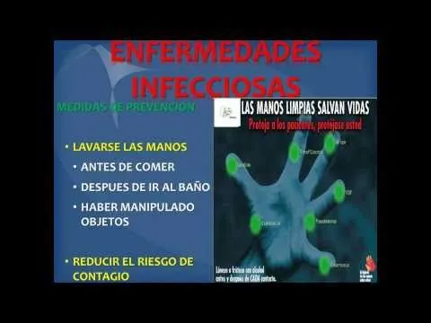 LAVADO DE MANOS TECNICA OMS - YouTube