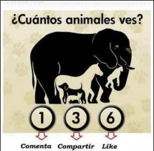 Las Lavanderas Chistes: Lavanderas chistes- imagenes graciosas