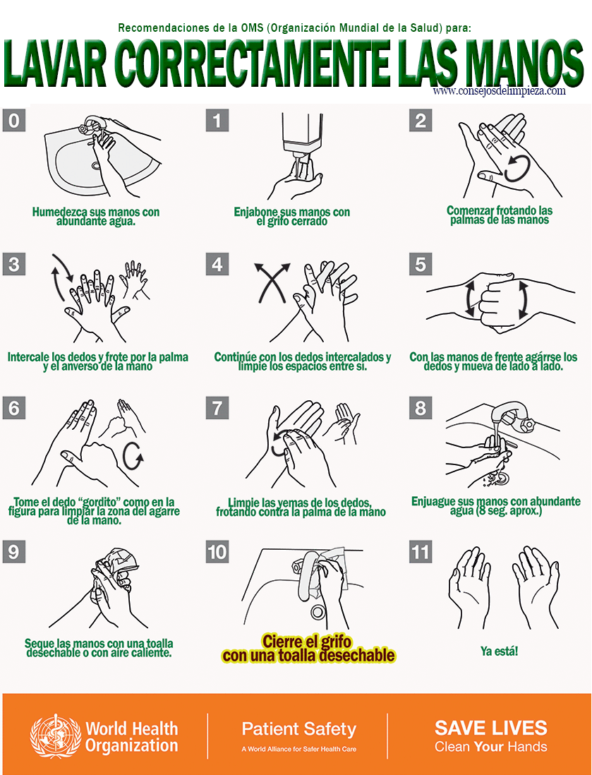 LAVAR LAS MANOS: RECOMENDACIONES DE LA OMS (Organización Mundial ...