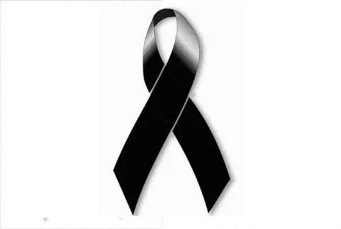 Periodismo 365 - Noticias