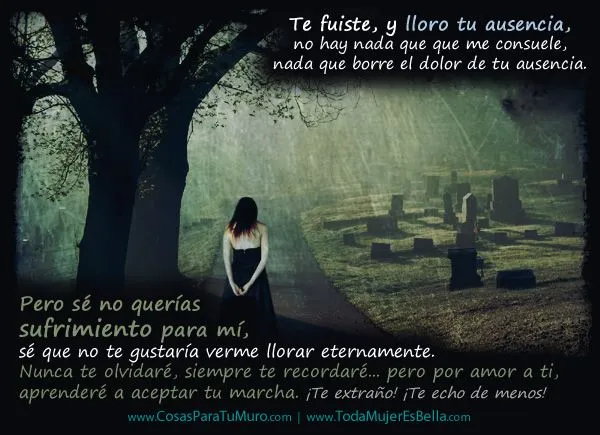 Lazos de luto para perfil de FaceBook - Imagui