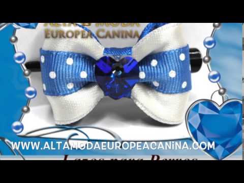 lazos para perros, alta moda europea canina - YouTube