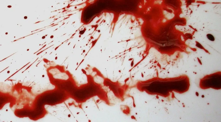 Lazos de Sangre - Wiki Creepypasta