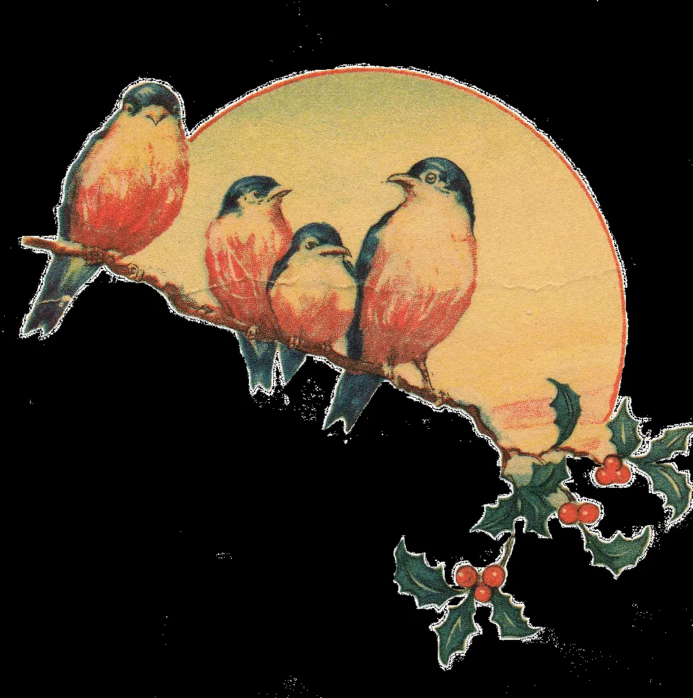 Leaping Frog Designs: Little Blue Bird Vintage Free PNG Image Leaping Frog Designs: Little Blue Bird Vintage Free PNG Image