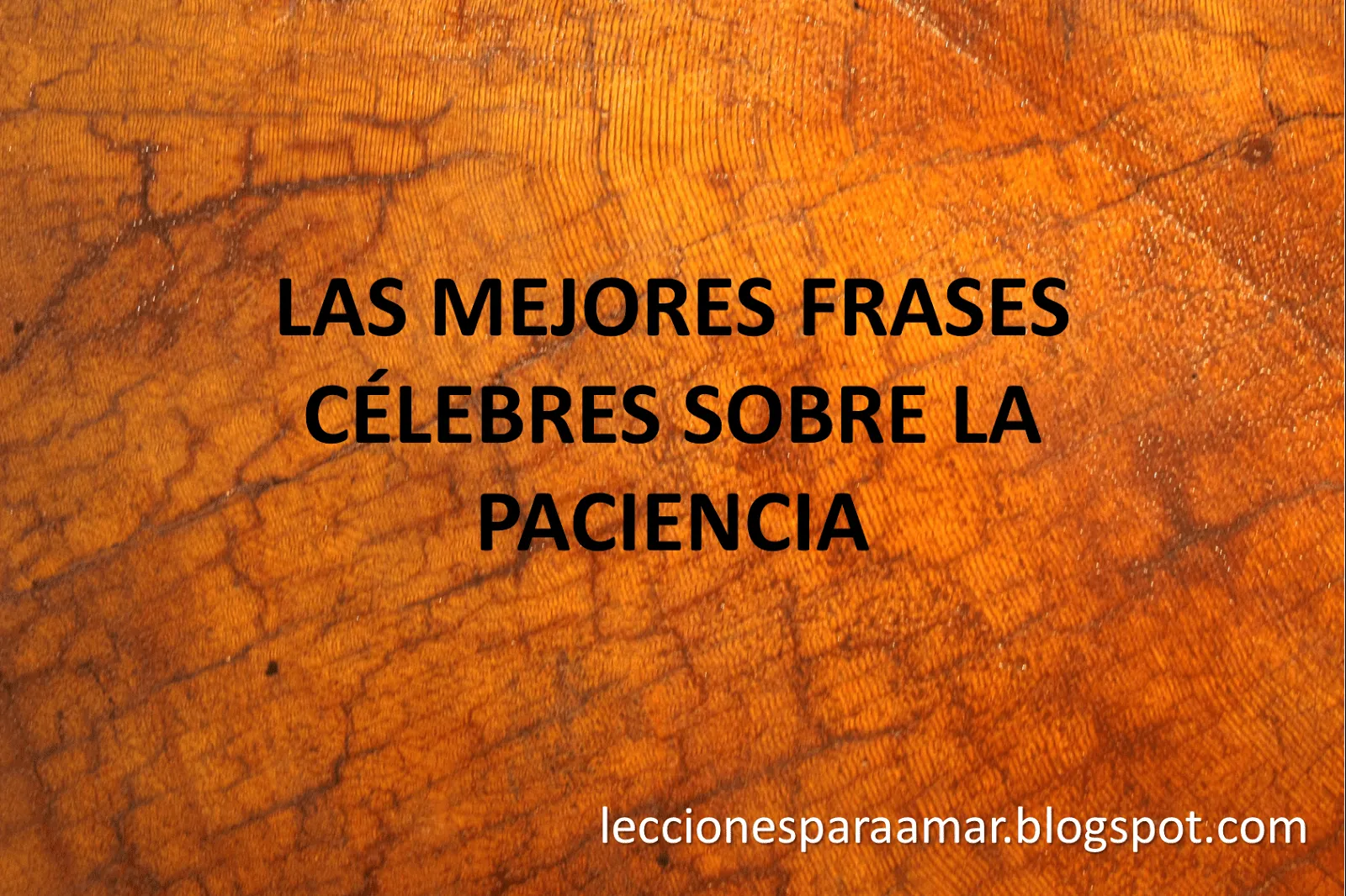 Lecciones para amar: Frases célebres sobre la paciencia Lecciones para amar: Frases célebres sobre la paciencia