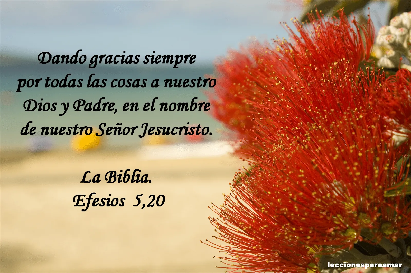 Lecciones para amar: Mensaje bíblico - Gratitud a Dios