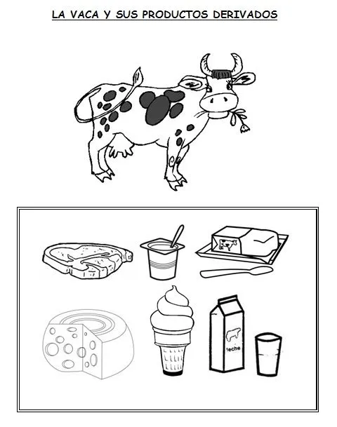 LA LECHE Y SUS DERIVADOS | ENS N°1 Primer grado