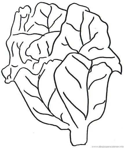 lechuga.jpg?imgmax=640