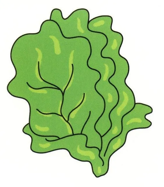 Dibujo de verduras a color - Imagui