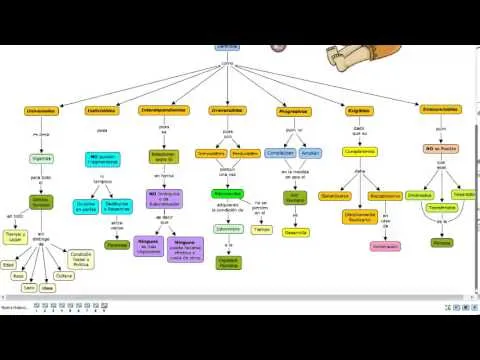 Lectura mapa conceptual- Derechos de las niñas y los niños - YouTube Lectura mapa conceptual- Derechos de las niñas y los niños - YouTube