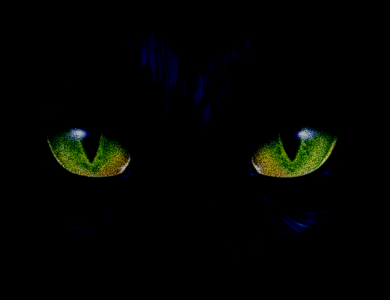 Ojos de pantera - Imagui