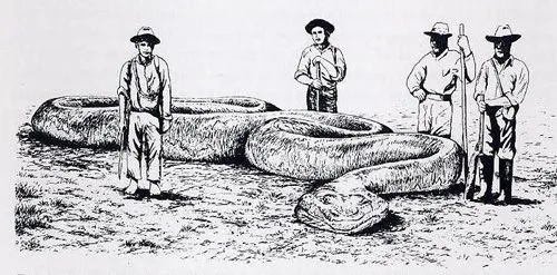 La legendaria Yacumama: La más grande serpiente come humanos aún ... La legendaria Yacumama: La más grande serpiente come humanos aún ...