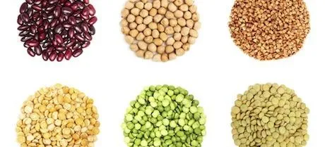 Las legumbres: un buen alimento para las embarazadas Las legumbres: un buen alimento para las embarazadas