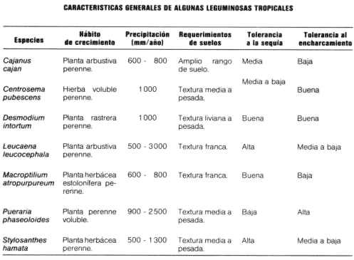 Leguminosas para alimentación bovina - Engormix