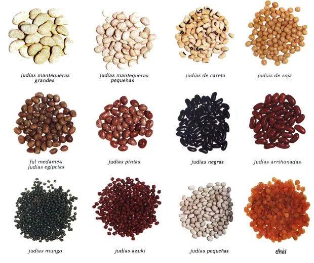 Leguminosas Y Alimentos De Origen Animal Nombres Leguminosas Y Alimentos De Origen Animal Nombres