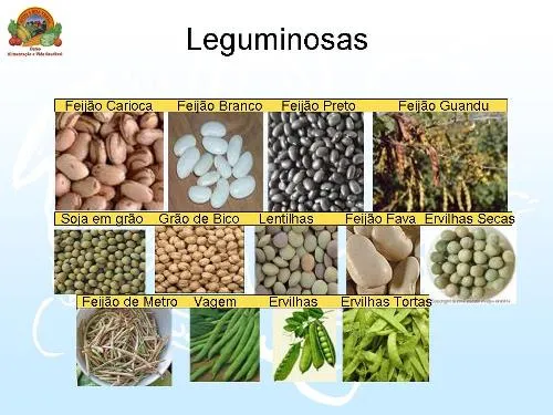 Leguminosas para colorear - Imagui