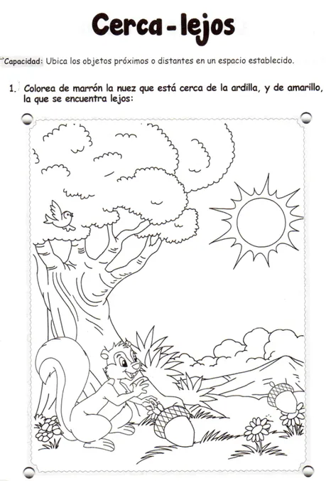 Cerca – lejos: 5 años - Paperblog