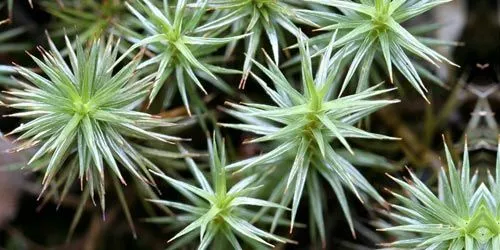 lena sari lo mejor: julio 2011