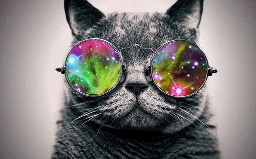 Lentes Eyecat, Ojos De Gato. Hipster, Retro, Vintage. - Bs. 1.200 ... Lentes Eyecat, Ojos De Gato. Hipster, Retro, Vintage. - Bs. 1.200 ...