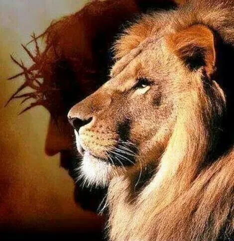 El León de Juda | Gospel | Pinterest
