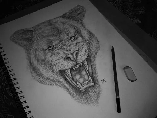 Dibujos de leones en 3D a lapiz - Imagui