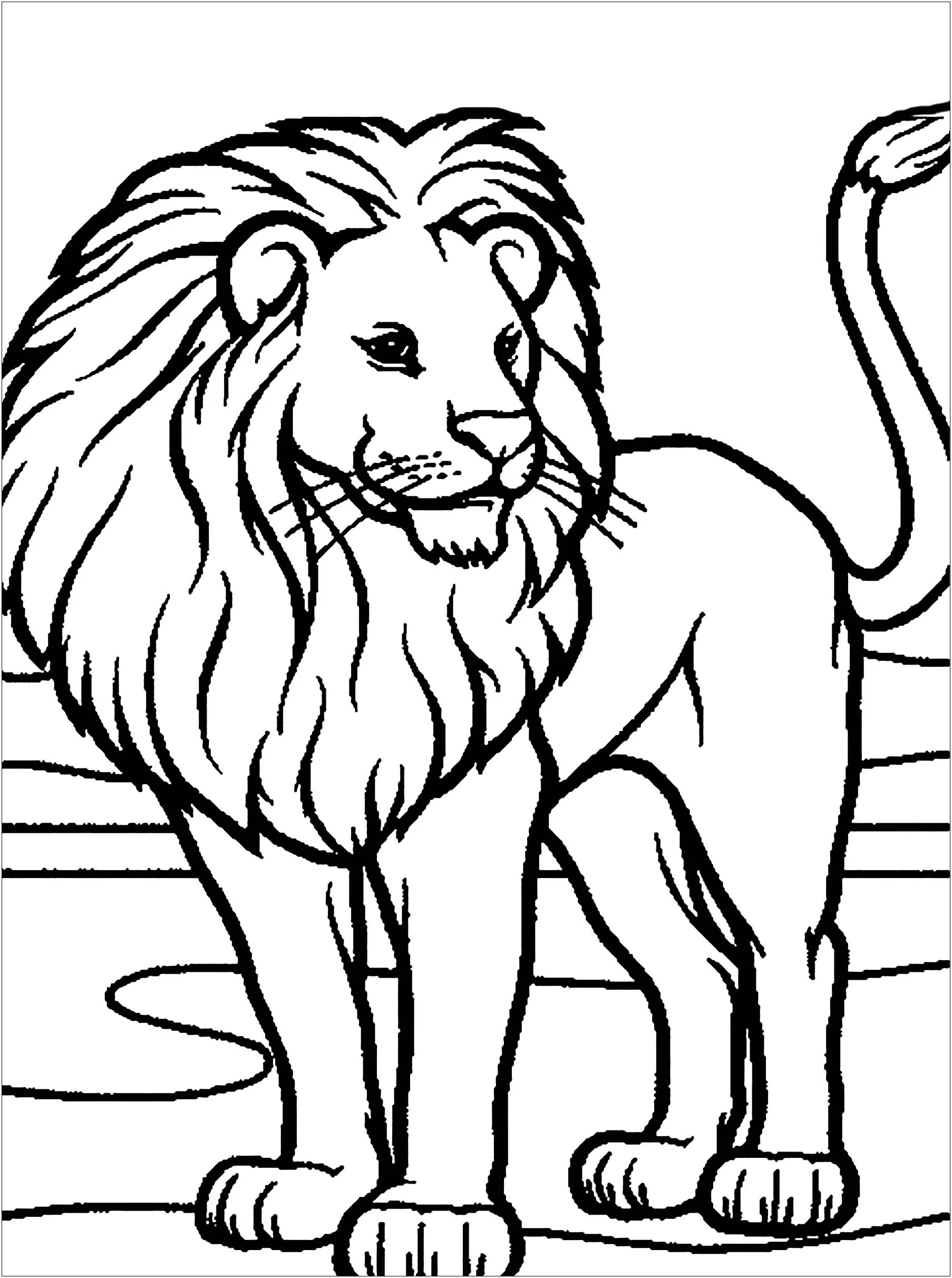 León - León - Just Color Niños : Dibujos para colorear para niños León - León - Just Color Niños : Dibujos para colorear para niños
