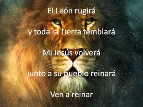 El León Marcos Brunet - YouTube