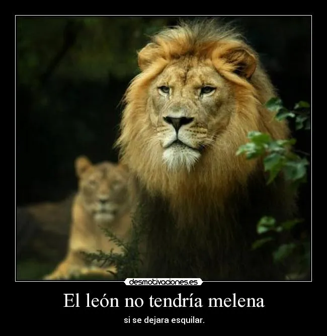 El león no tendría melena | Desmotivaciones