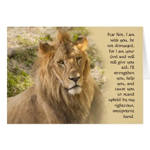 El león consigue la tarjeta bien de Zazzle. El león consigue la tarjeta bien de Zazzle.