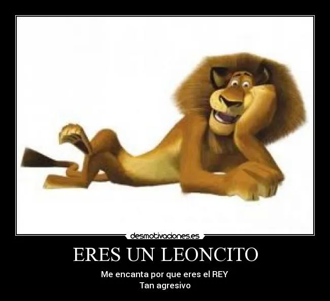ERES UN LEONCITO | Desmotivaciones