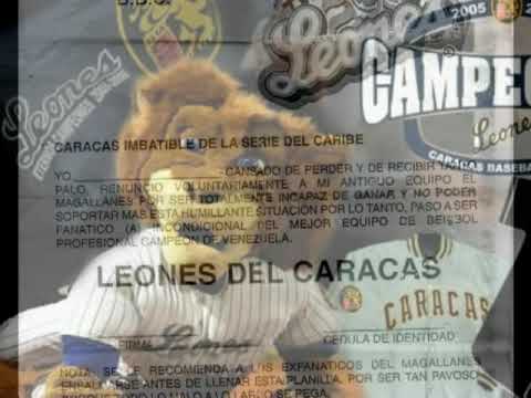 leones del caracas caricaturas y fotos - YouTube leones del caracas caricaturas y fotos - YouTube