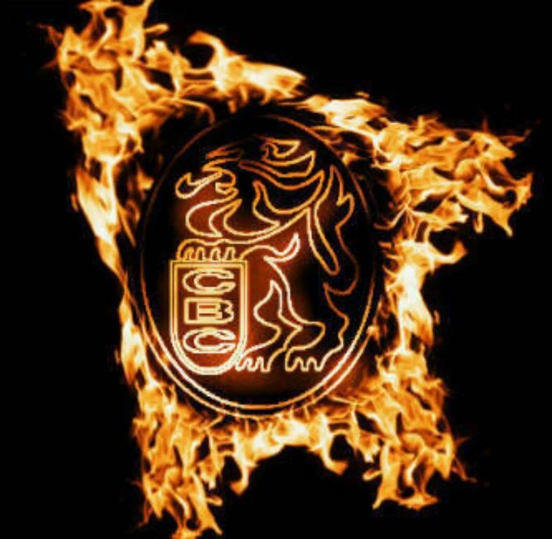 Leones del Caracas on X: Leones del Caracas on X: