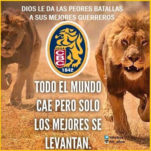 Leones del Caracas on X: Leones del Caracas on X: