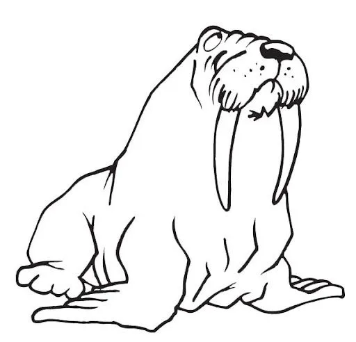 DIBUJOS DE LEONES MARINOS PARA COLOREAR | Dibujos para colorear DIBUJOS DE LEONES MARINOS PARA COLOREAR | Dibujos para colorear