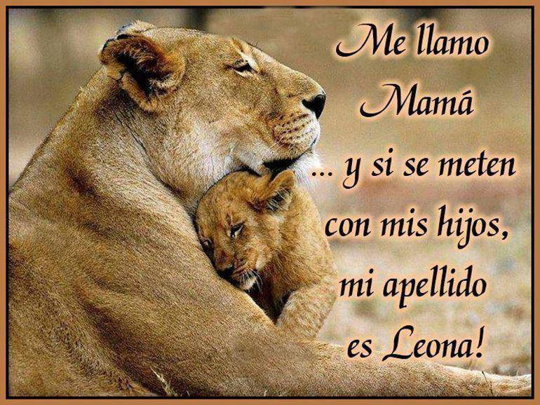 LEONES | HISTORIA, CIENCIA, AZTECAS, MITO, CALENDARIO, ANTROPOLOGÍA LEONES | HISTORIA, CIENCIA, AZTECAS, MITO, CALENDARIO, ANTROPOLOGÍA
