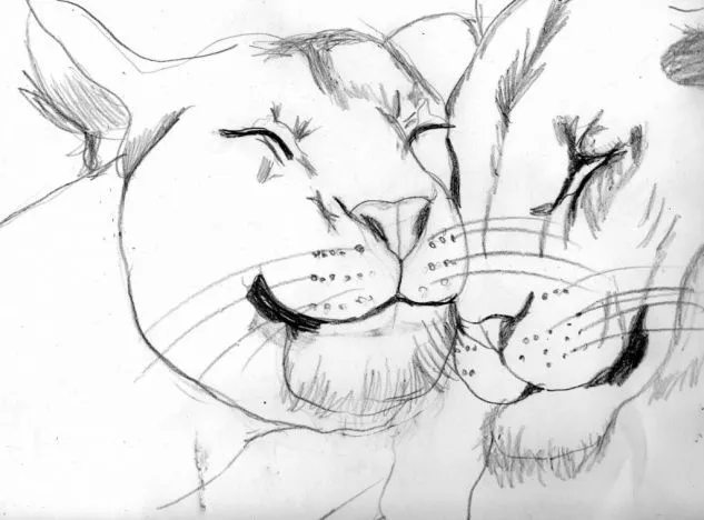 Leones tiernos - Imagui