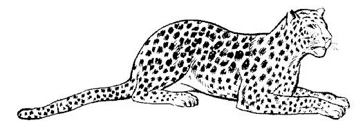 LEOPALD2.jpg?imgmax=640