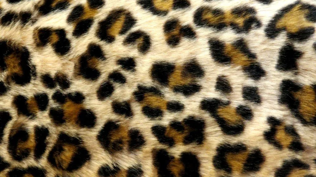 Leopard Print Live Wallpaper - Android Apps on Google Play